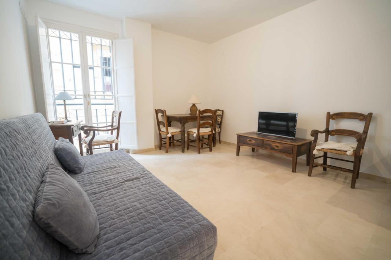 Apartamento Optimus Conde De Ibarra